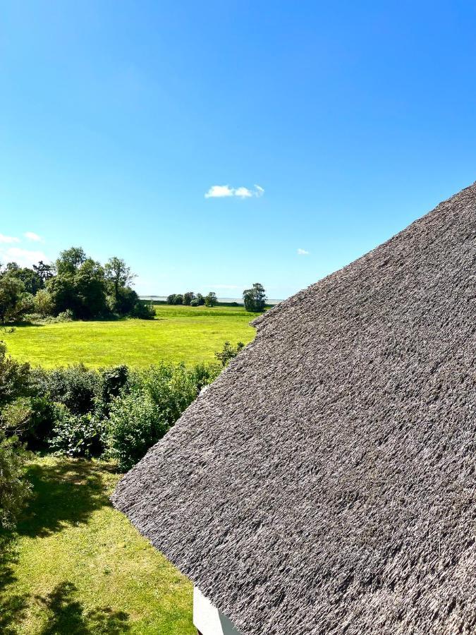 Zur Alten Boddenfischerei Ferienwohnung Heidezauber Neuendorf Heide 외부 사진